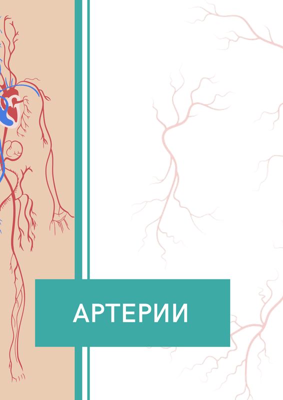 Альбом "Артерии"