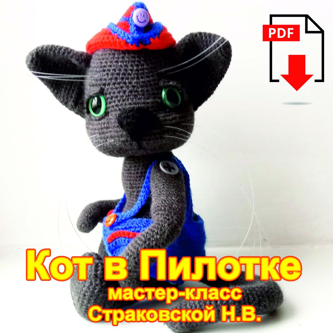 Кот в Пилотке