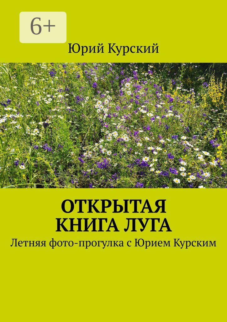 Открытая книга луга