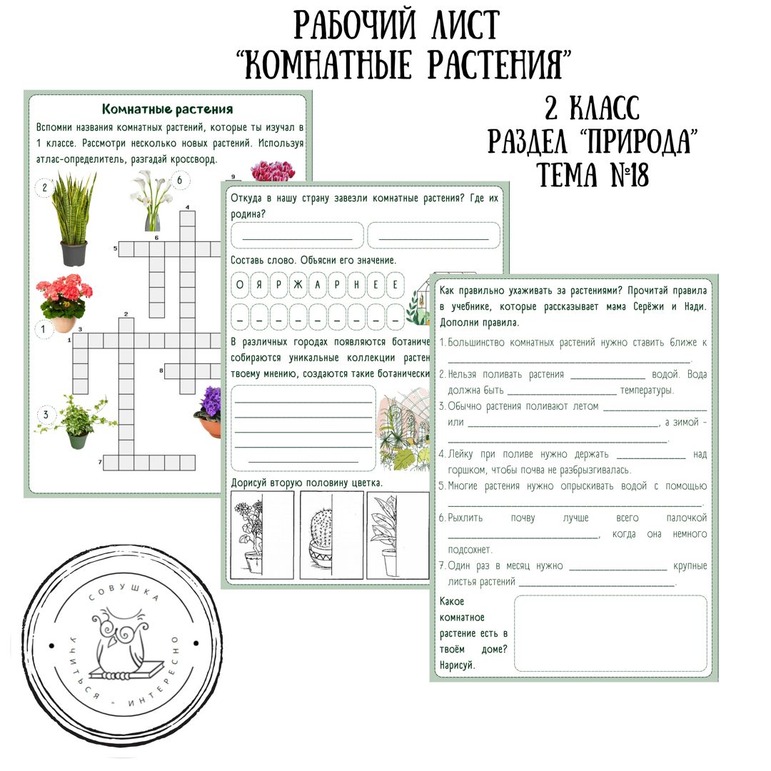Рабочий лист "Комнатные растения"