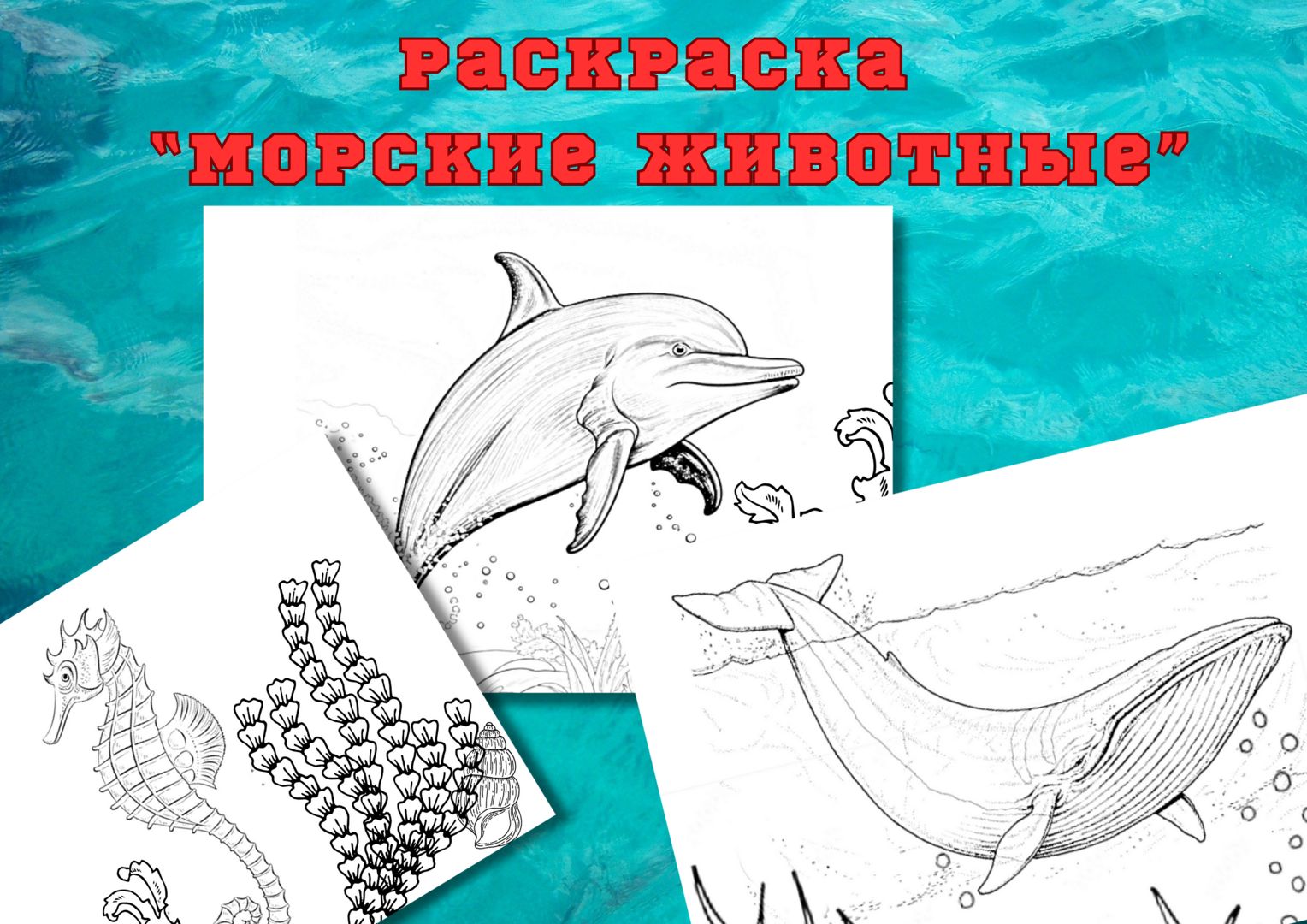 Раскраска (6 листов) "Морские животные"