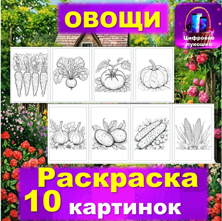 Раскраска. Огород. Овощи. Картинки для раскрашивания.