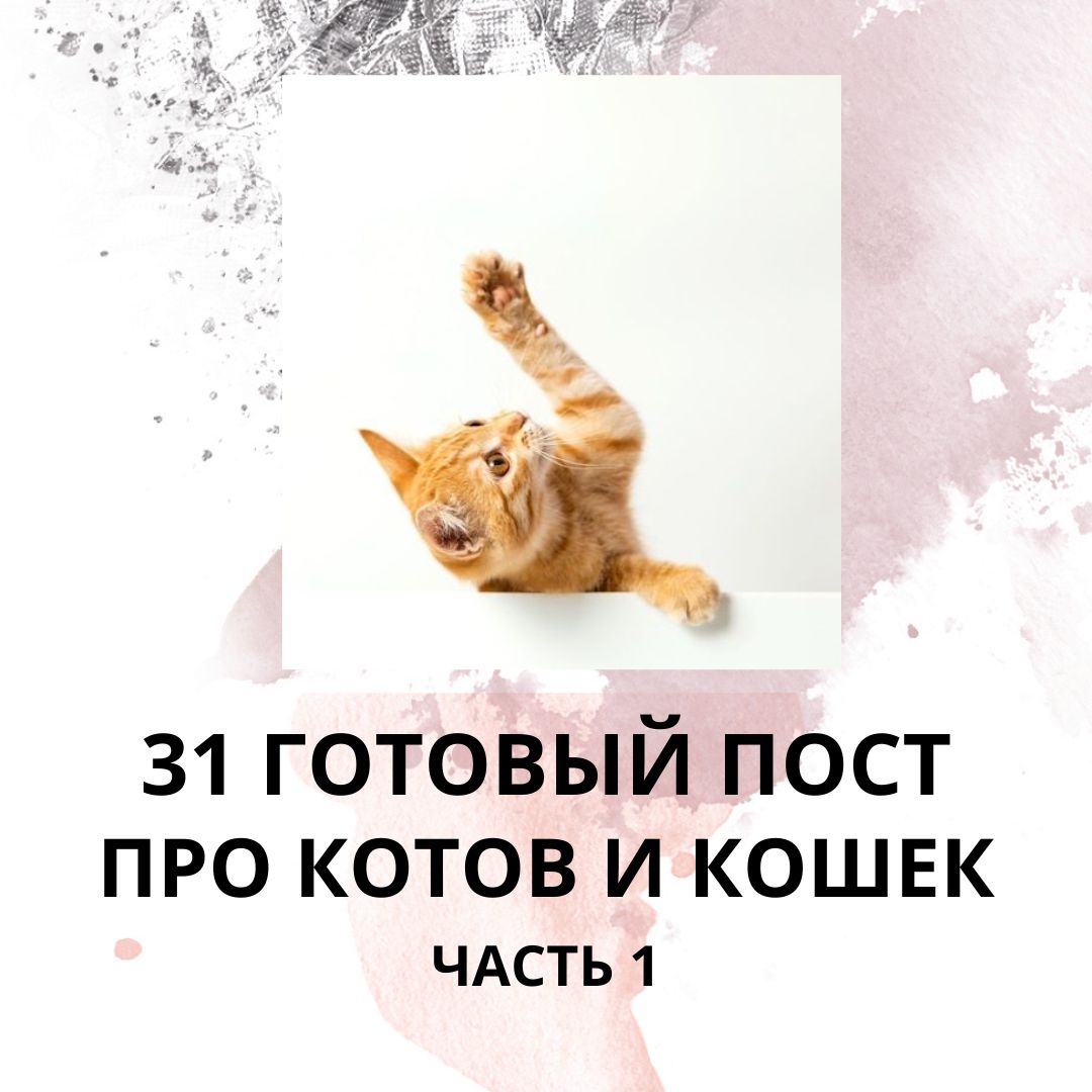 31 ГОТОВЫЙ ПОСТ ПРО КОТОВ И КОШЕК / ГОТОВЫЕ ПОСТЫ ПРО КОТОВ И КОШЕК