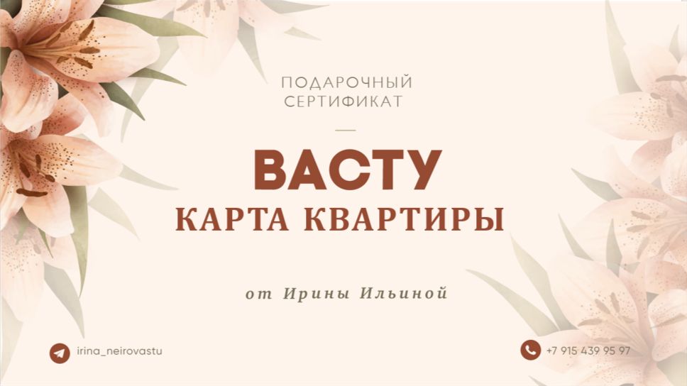 Васту Карта квартиры