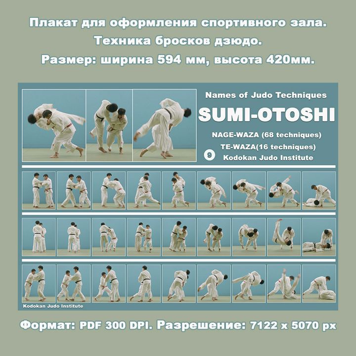 Плакат дзюдо формат А2. Бросок выведением из равновесия вбок SUMI-OTOSHI. Учебное пособие.