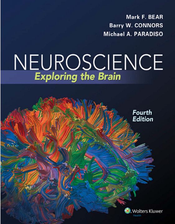 Нейронаука: исследование мозга, четвертое издание 2015 год Английский язык