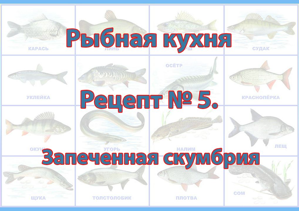 Рыбная кухня Рецепт №5 Запеченная скумбрия