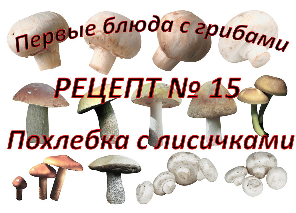 Первые блюда Рецепт № 15 Похлебка с лисичками