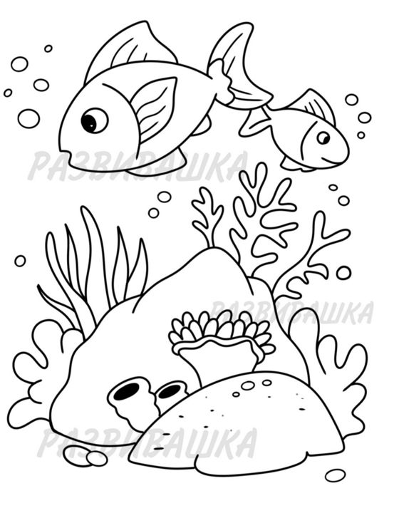 Раскраска подводный мир, 2 страницы