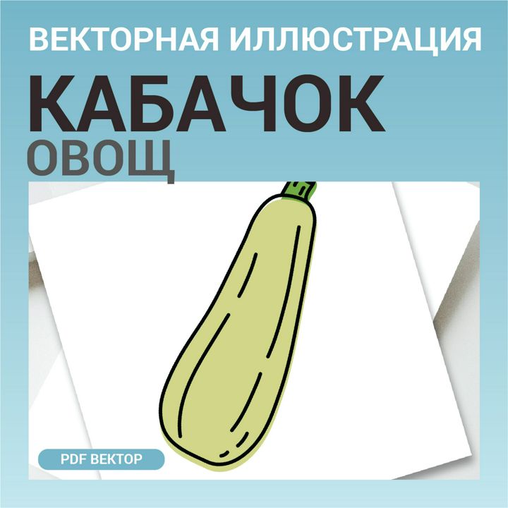 Кабачок в стиле дудл без фона. Векторная картинка pdf. Овощ в векторе. Для меню, рецептов, этикетки.