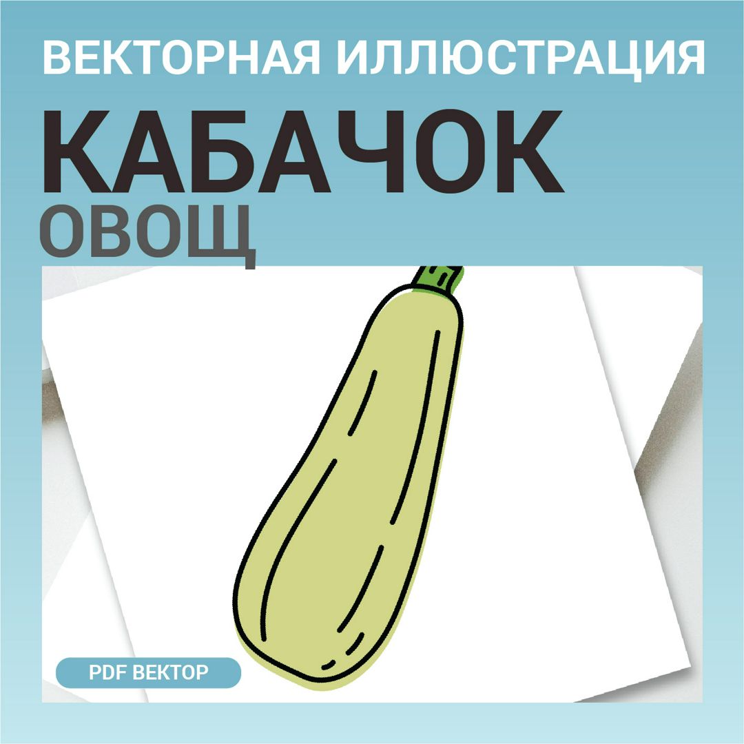 Кабачок в стиле дудл без фона. Векторная картинка pdf. Овощ в векторе. Для меню, рецептов, этикетки.