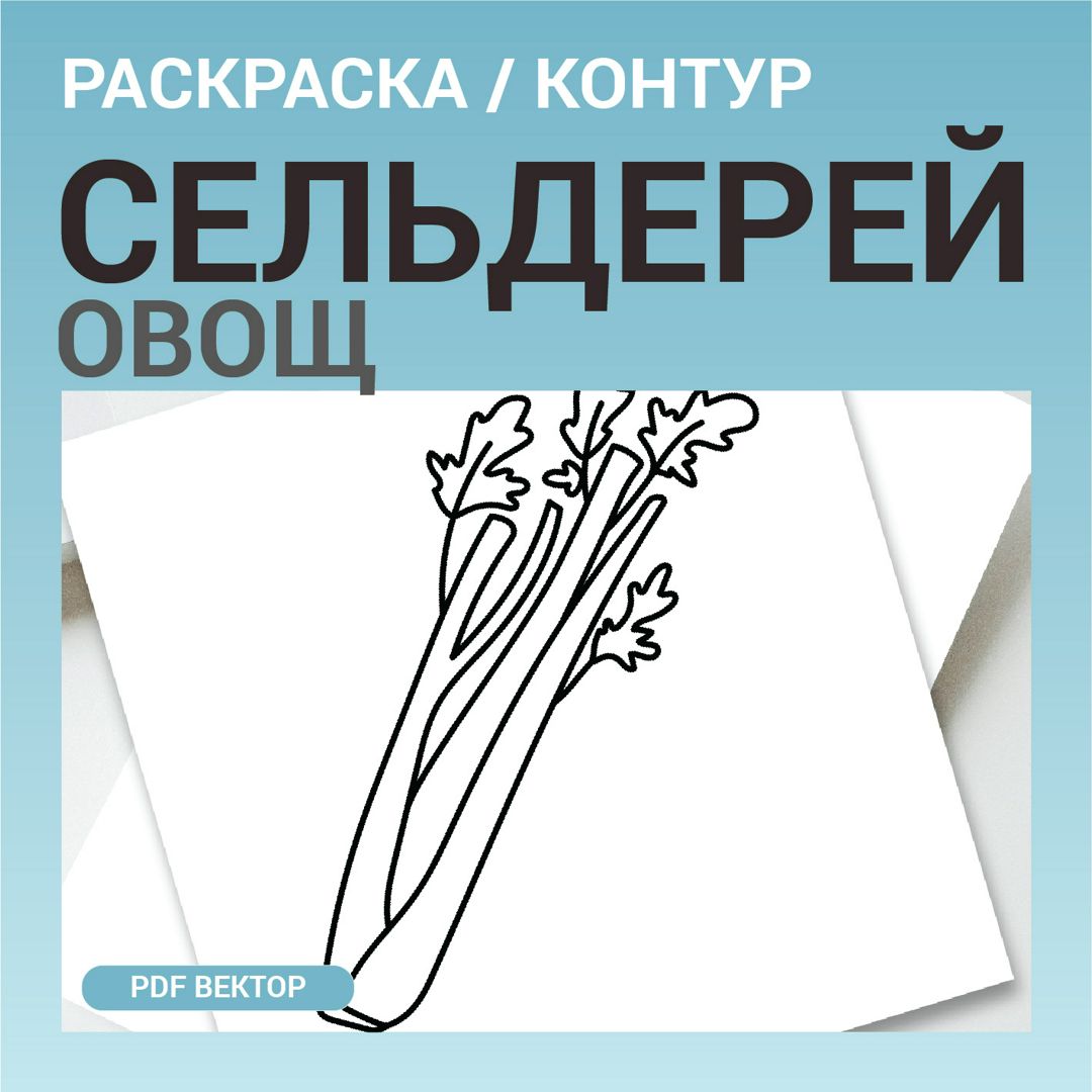 Сельдерей трава стебель. Детская раскраска, шаблон для гравировки, вышивки. Векторная иллюстрация