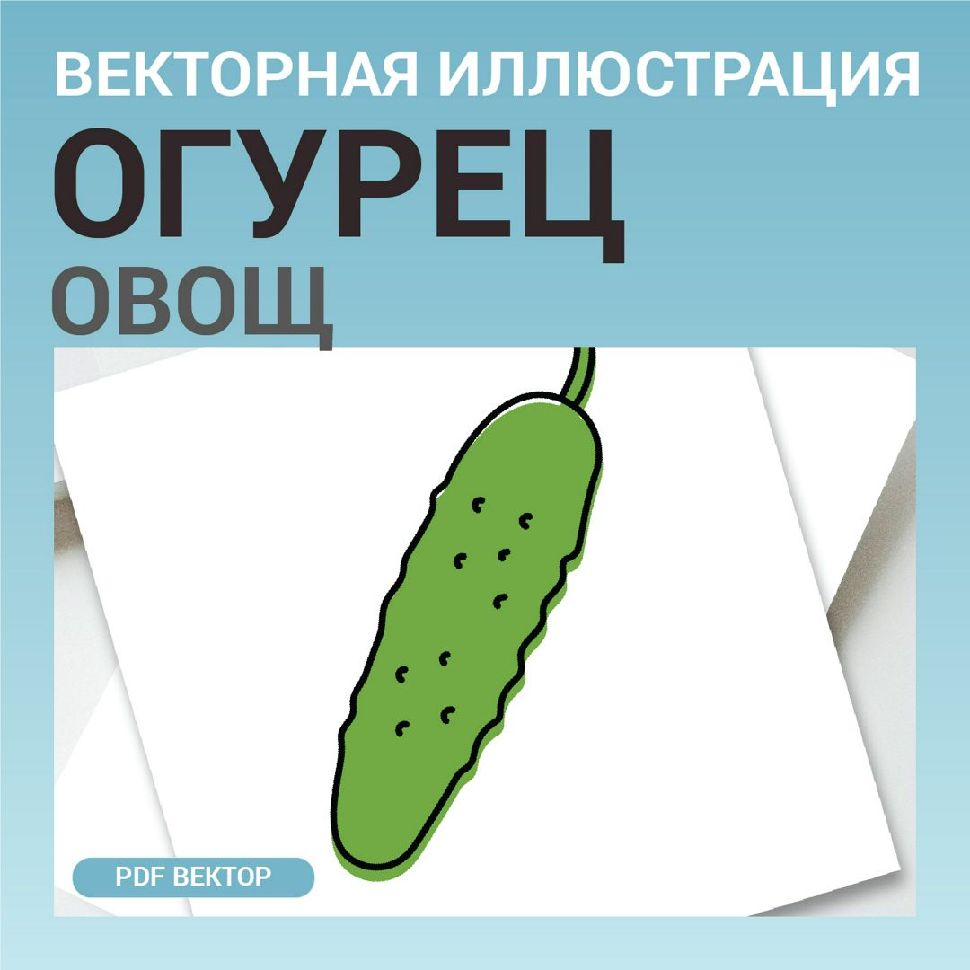 Огурец в стиле дудл без фона. Векторная картинка pdf. Овощ в векторе. Для  меню, рецептов, этикетки.