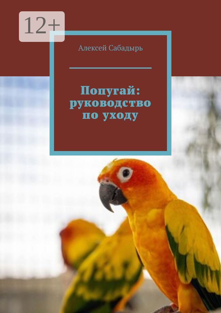 Попугай: руководство по уходу