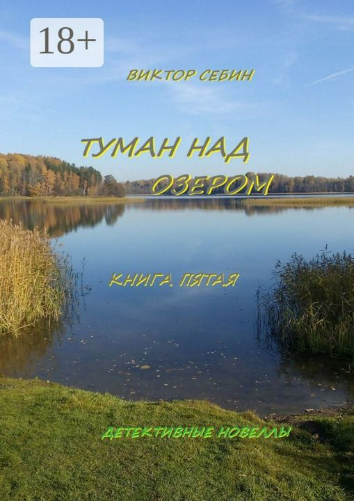 Туман над озером. Книга пятая