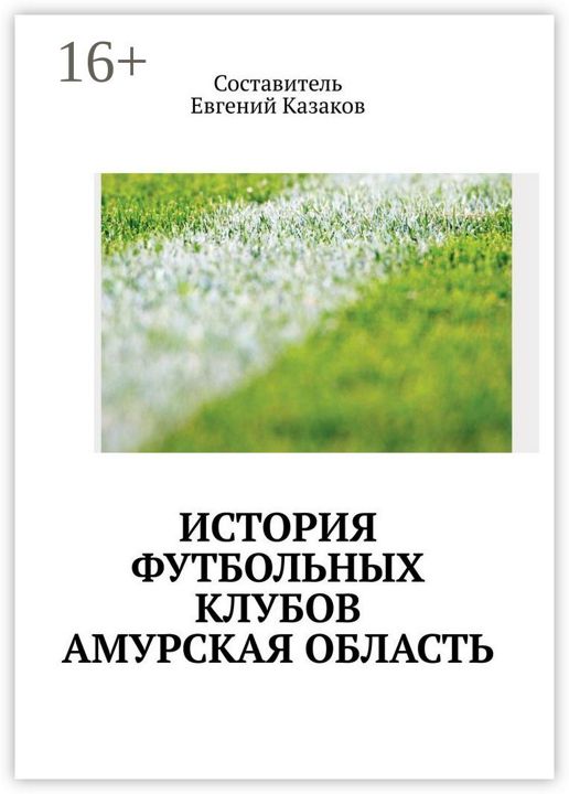 История футбольных клубов России. Амурская область