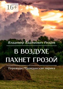 В воздухе пахнет грозой - Владимир Вадимович Резцов - купить и читать ...