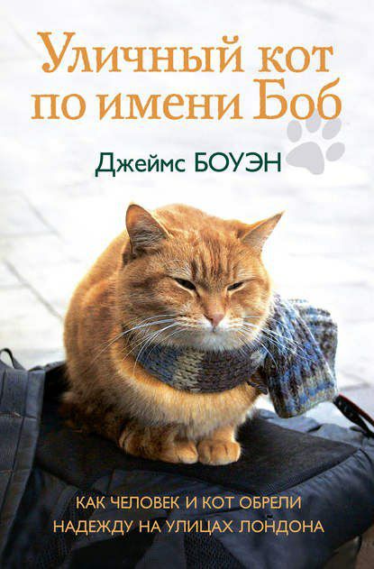 Кот по имени боб
