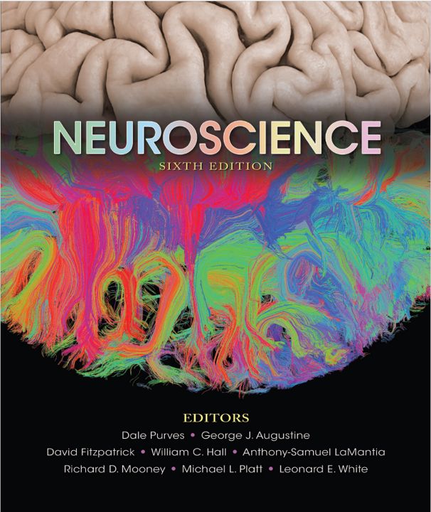 Нейробиология 6-е издание 2017 / Neuroscience 6th Edition