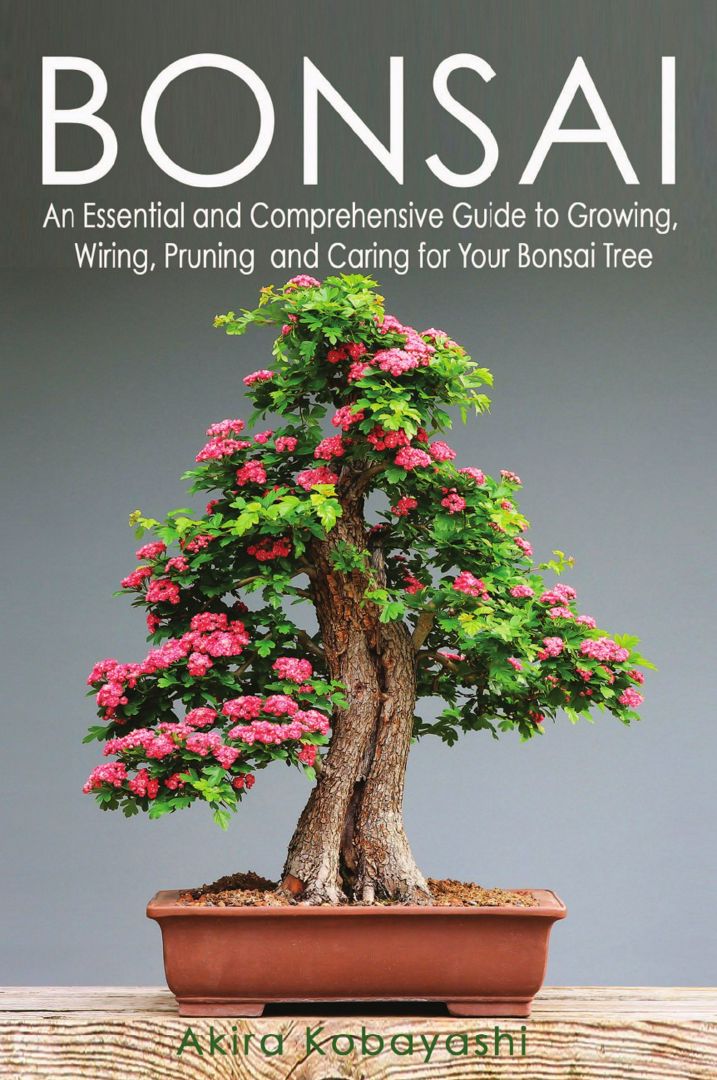 BONSAI. An Essential and Comprehensive Guide to Growing, Wiring