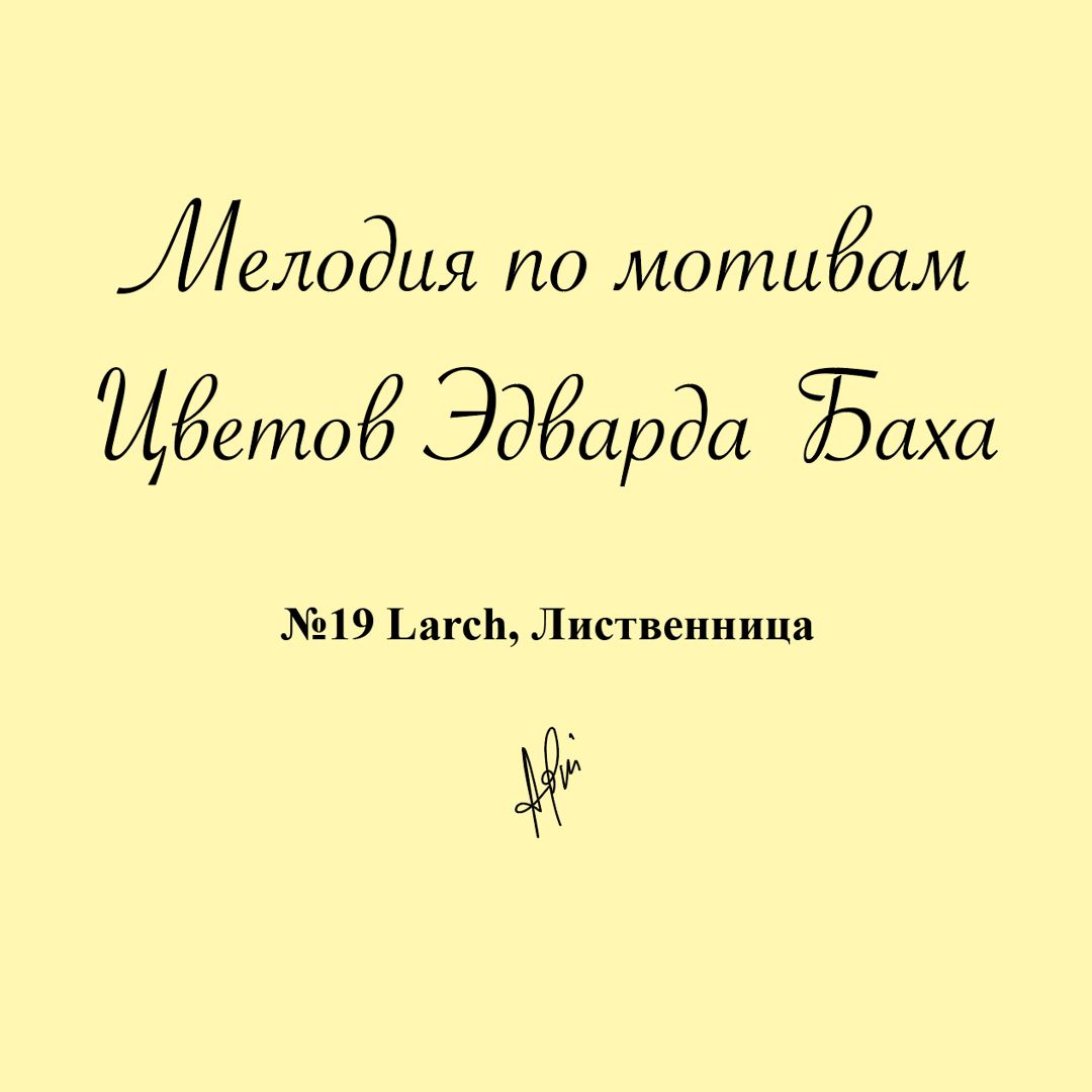 Мелодия № 19 Larch, Лиственница, Антистресс Цветок Эдварда Баха для медитации