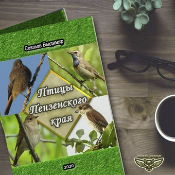 Книга «Птицы Пензенского края» - Соколов В.А. - скачать на Wildberries ...