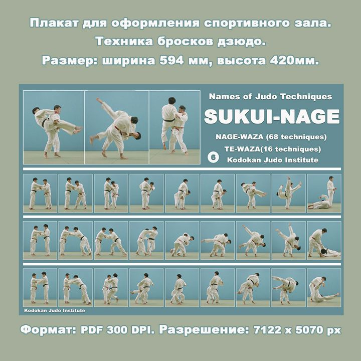 Плакат дзюдо формата А2. Сборник бросков с захватом за ногу SUKUI-NAGE.