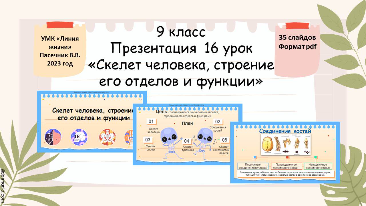 Презентация 16 урок 9 класс «Скелет человека, строение его отделов и функции»