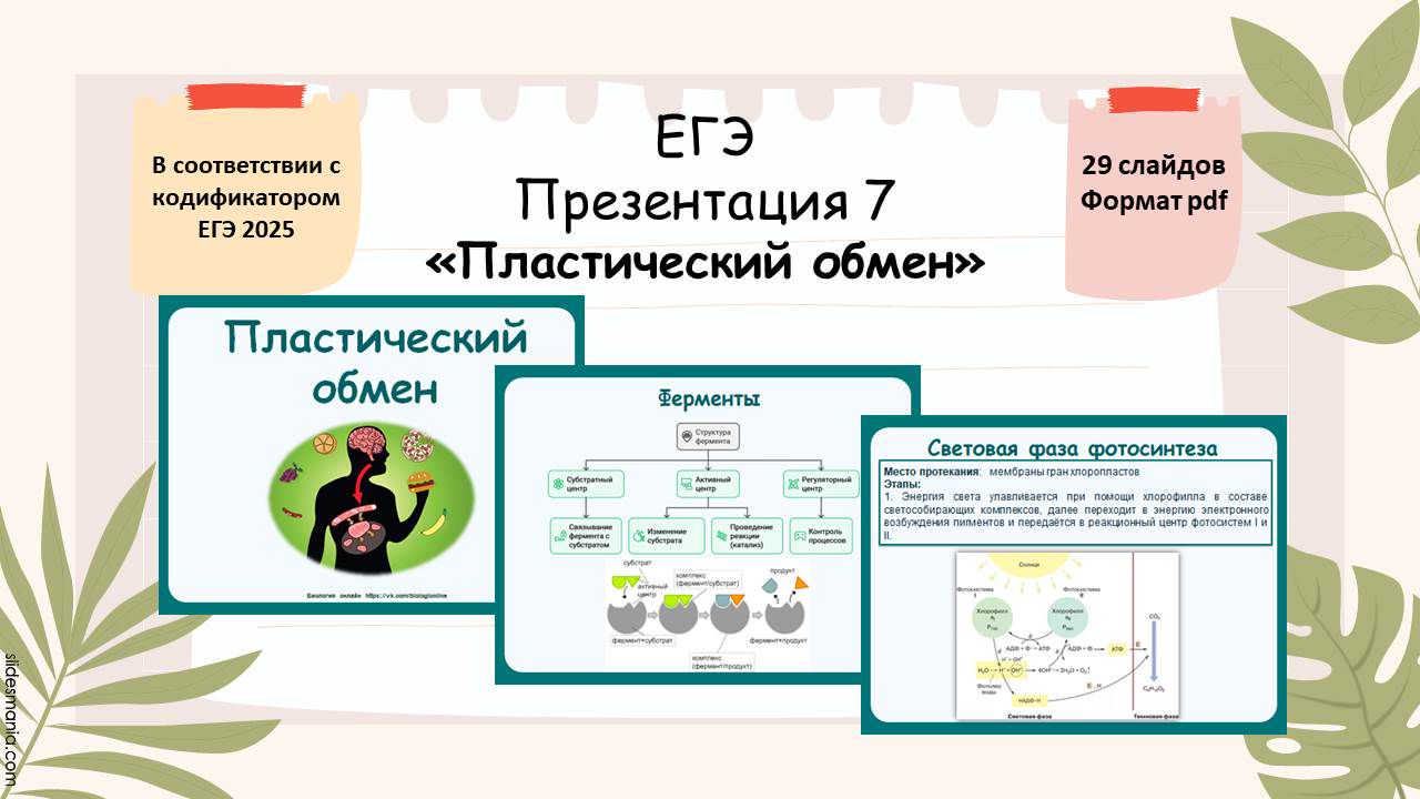 Презентация 7 ЕГЭ «Пластический обмен. Фотосинтез. Хемосинтез»