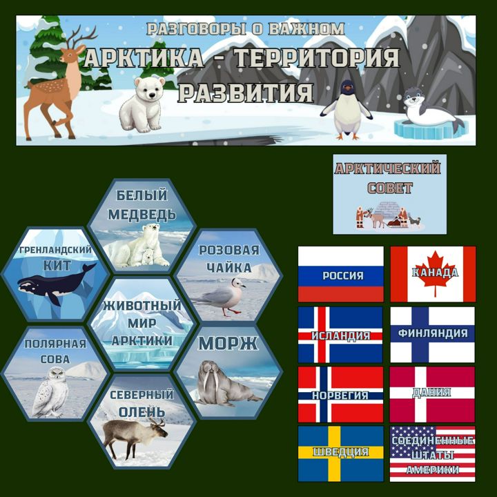 Оформление "Арктика - территория развития" баннер и речевые облачка ...