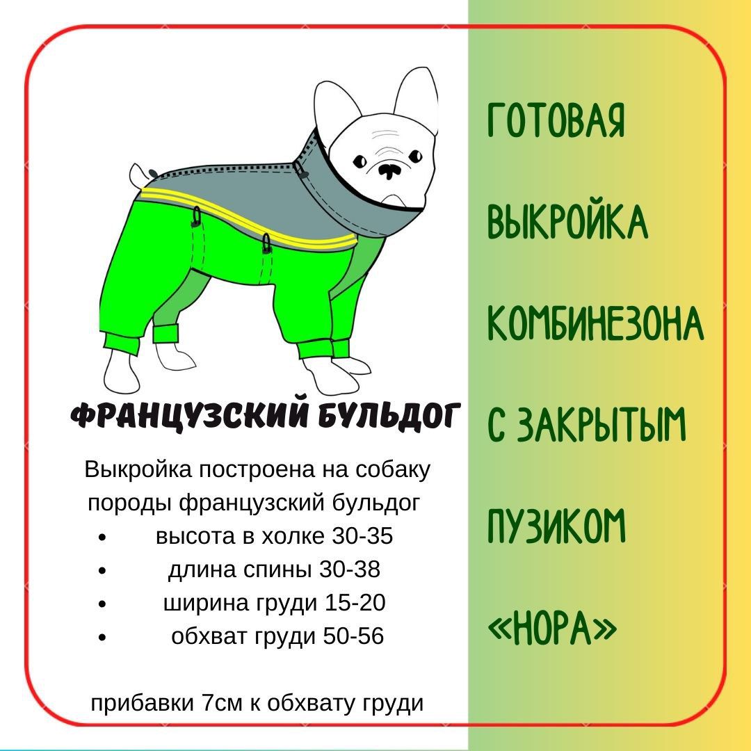 Базовая выкройка для собак | Шить просто — gkhyarovoe.ru