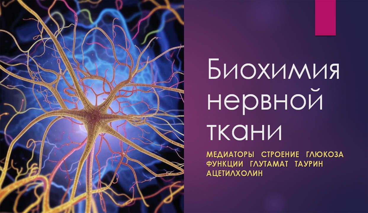 Презентация. Биохимия нервной ткани: медиаторы, строение, функции, глюкоза, ацетилхолин, дофамин