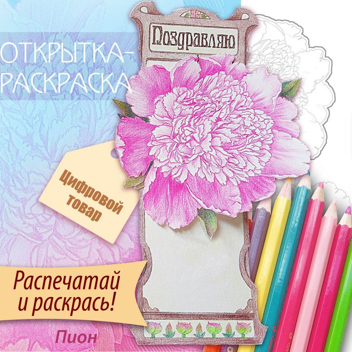 Открытка раскраска Пион