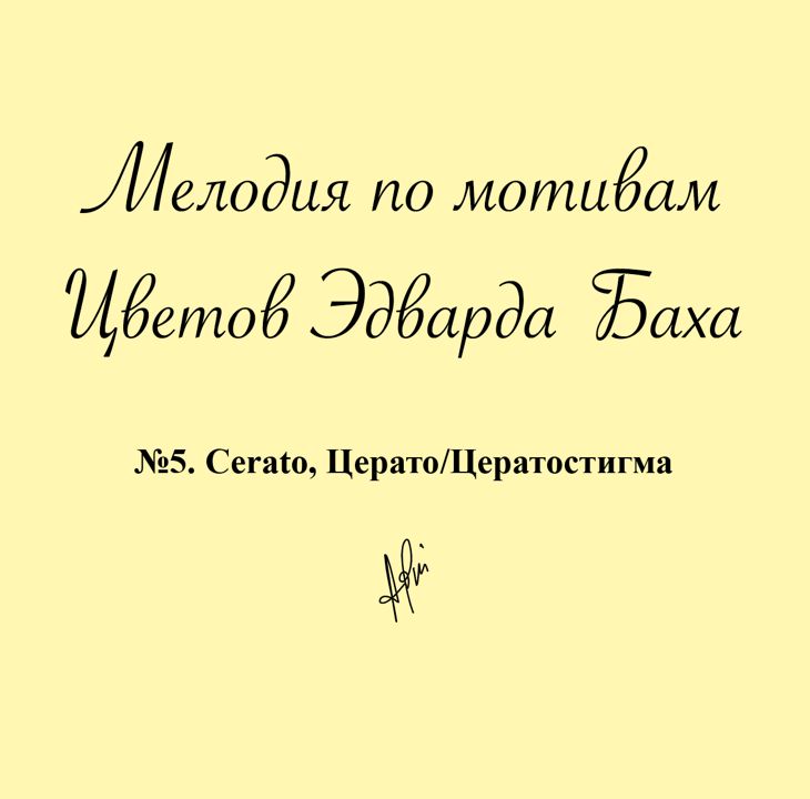 Мелодия № 5 Cerato, Церато/Цератостигма (Виллмотт), Антистресс Цветок Эдварда Баха