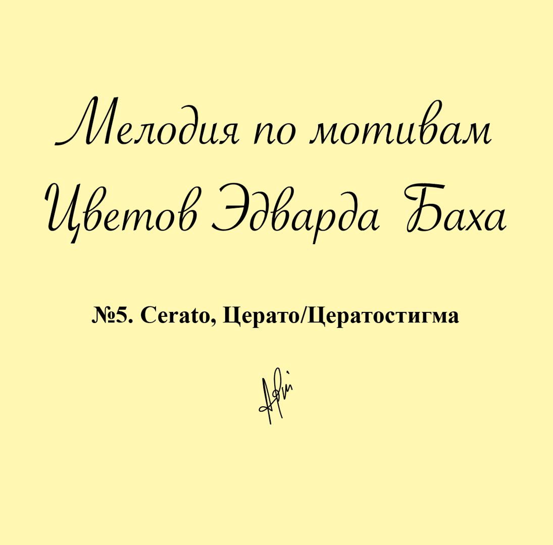 Мелодия № 5 Cerato, Церато/Цератостигма (Виллмотт), Антистресс Цветок Эдварда Баха