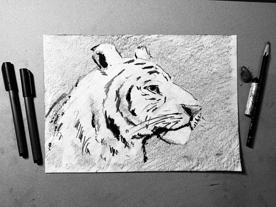 Рисуем белого тигра в необычной графической технике