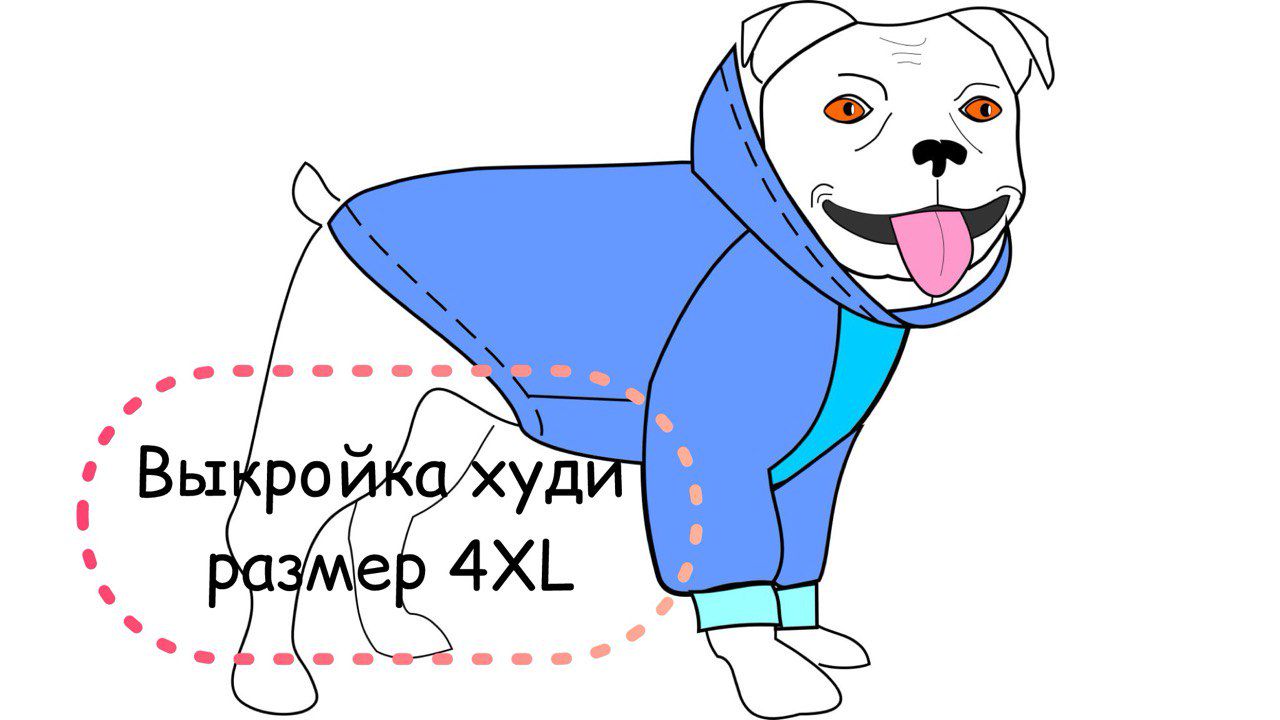 Выкройка худи для собаки размер 4XL