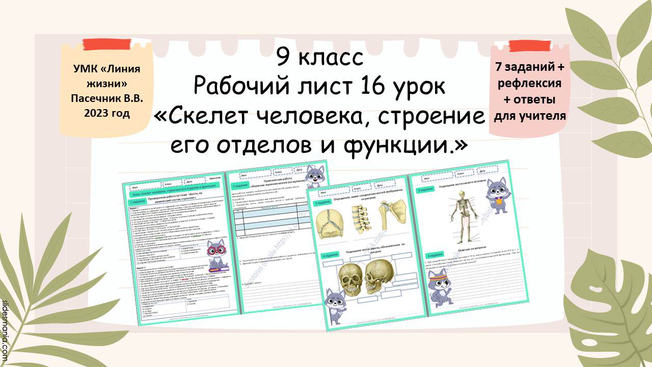 Рабочий лист 16 урок 9 класс «Скелет человека, строение его отделов и функции.»