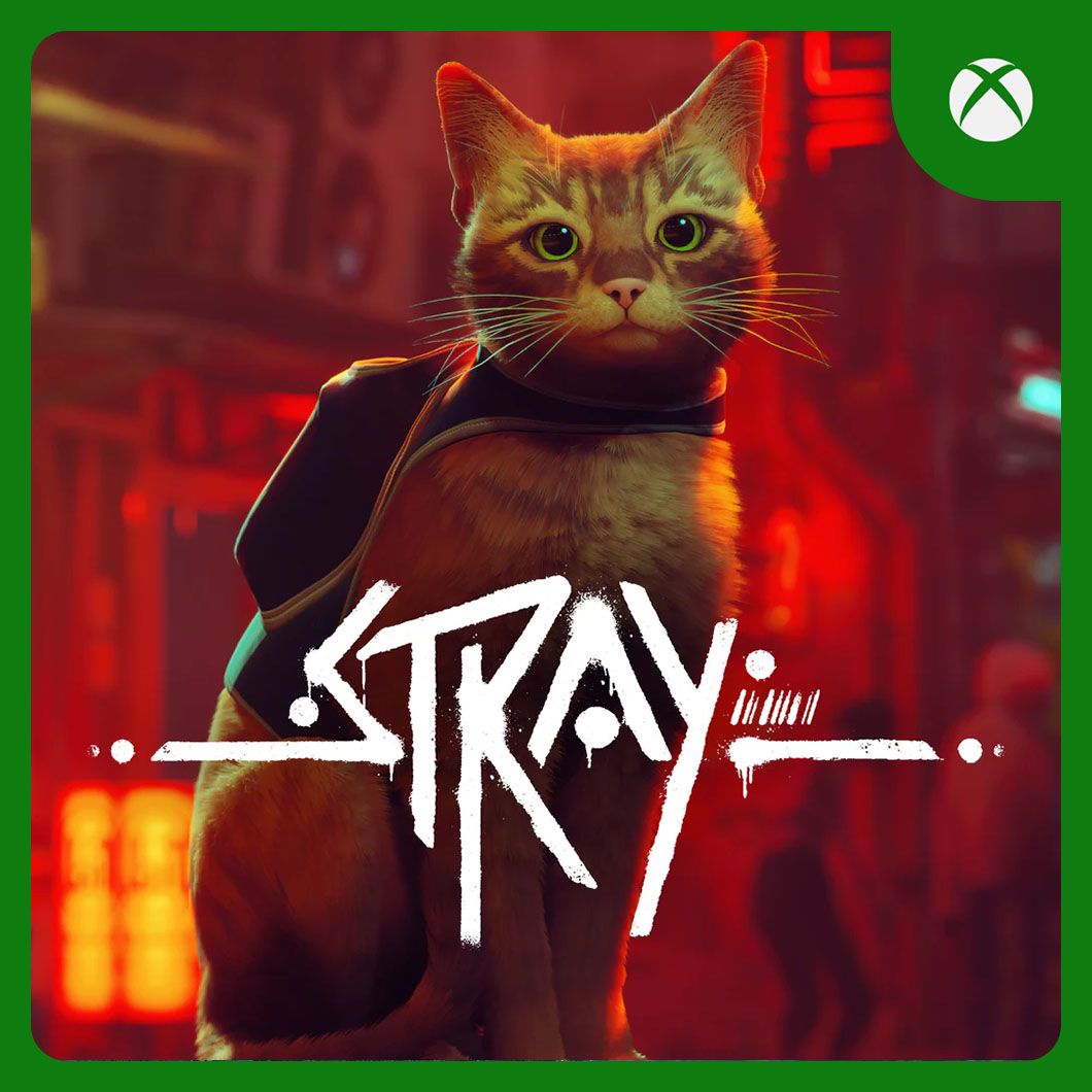 Stray | Xbox One & Series X|S