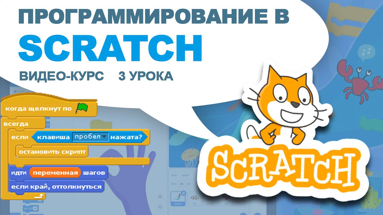 Scratch курсы. Скретч курсы.