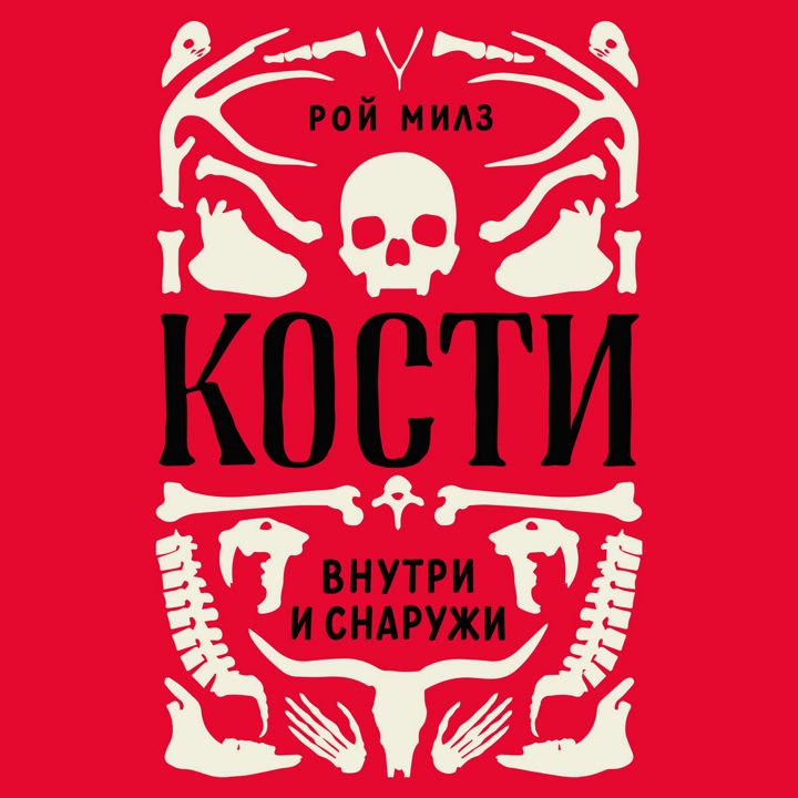 Кости: внутри и снаружи