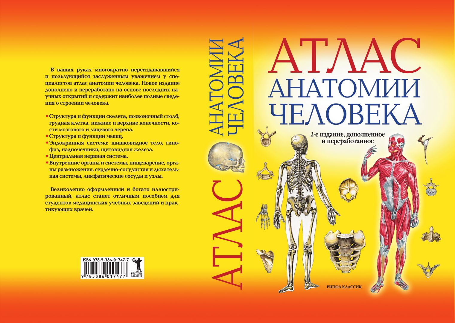 Атлас хирургии и анатомии. Атлас анатомии человека Рипол Классик. Анатомия человека медицинский атлас. Атлас по анатомии для медицинских колледжей. Анатомия атлас для медицинских колледжей.