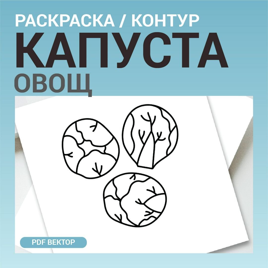 Белокачанная или брюссельская капуста овощ. Детская раскраска или шаблон  для гравировки, вышивки - Абдрахманова Рамзия - скачать на Wildberries  Цифровой | 157633