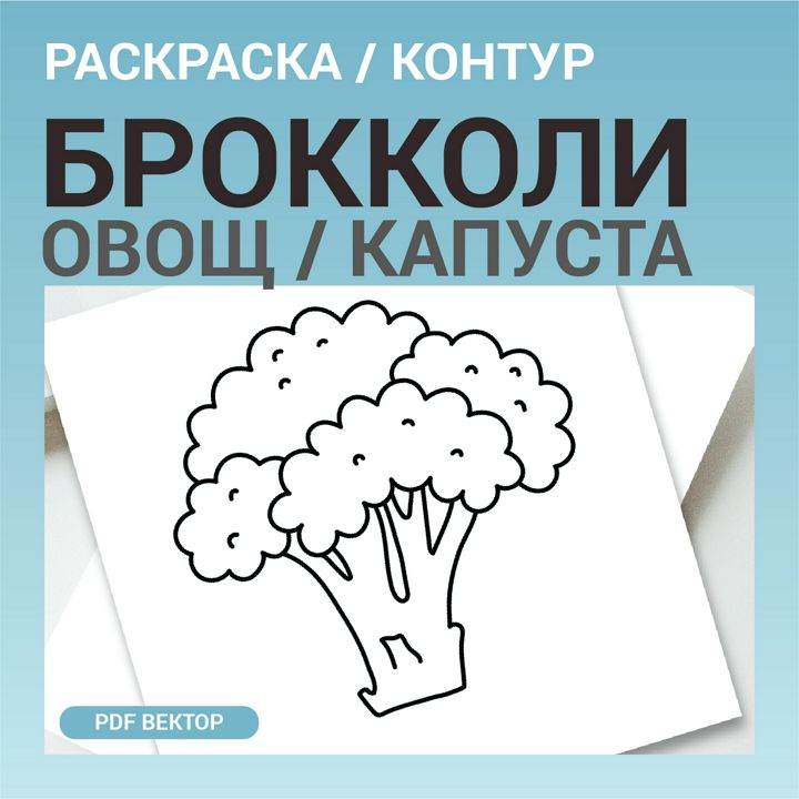 Капуста брокколи. Детская раскраска или шаблон для гравировки, вышивки. Векторная иллюстрация овоща