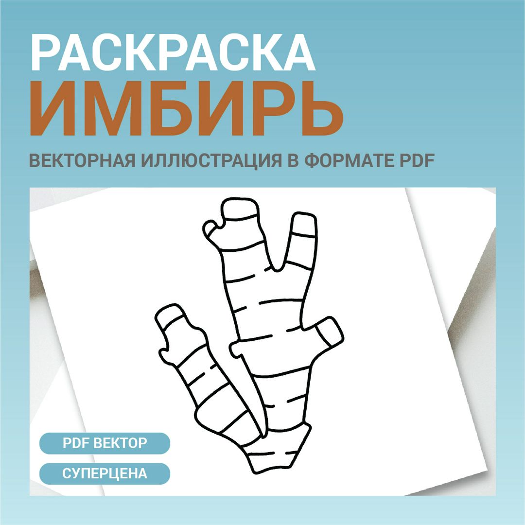 Имбирь. Детская раскраска. Векторная иллюстрация pdf. Для меню, рецептов