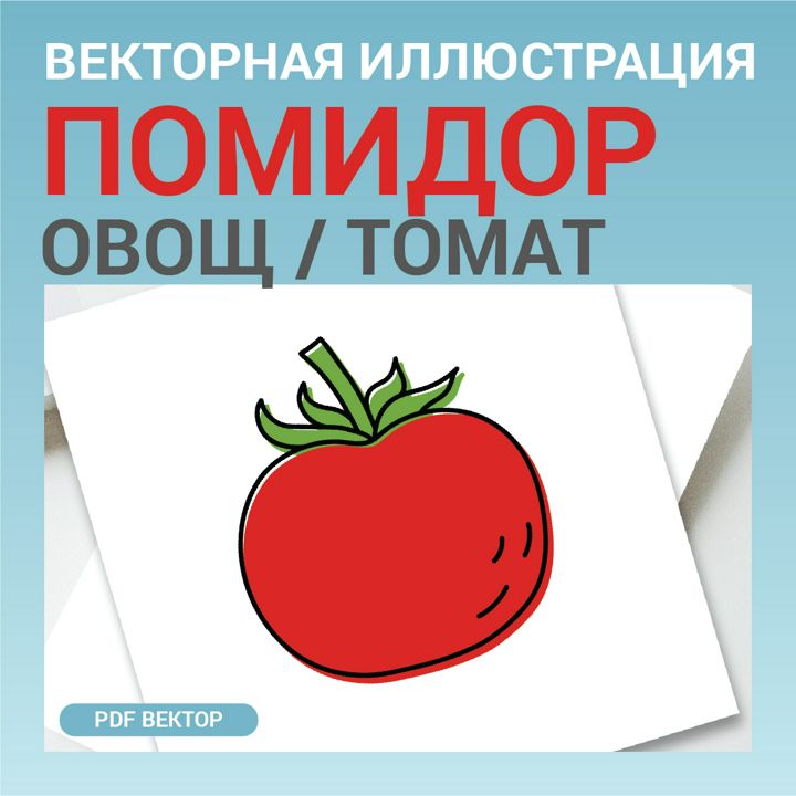 Помидор томат в стиле дудл без фона. Векторная картинка pdf. Овощ в векторе. Для меню, рецептов