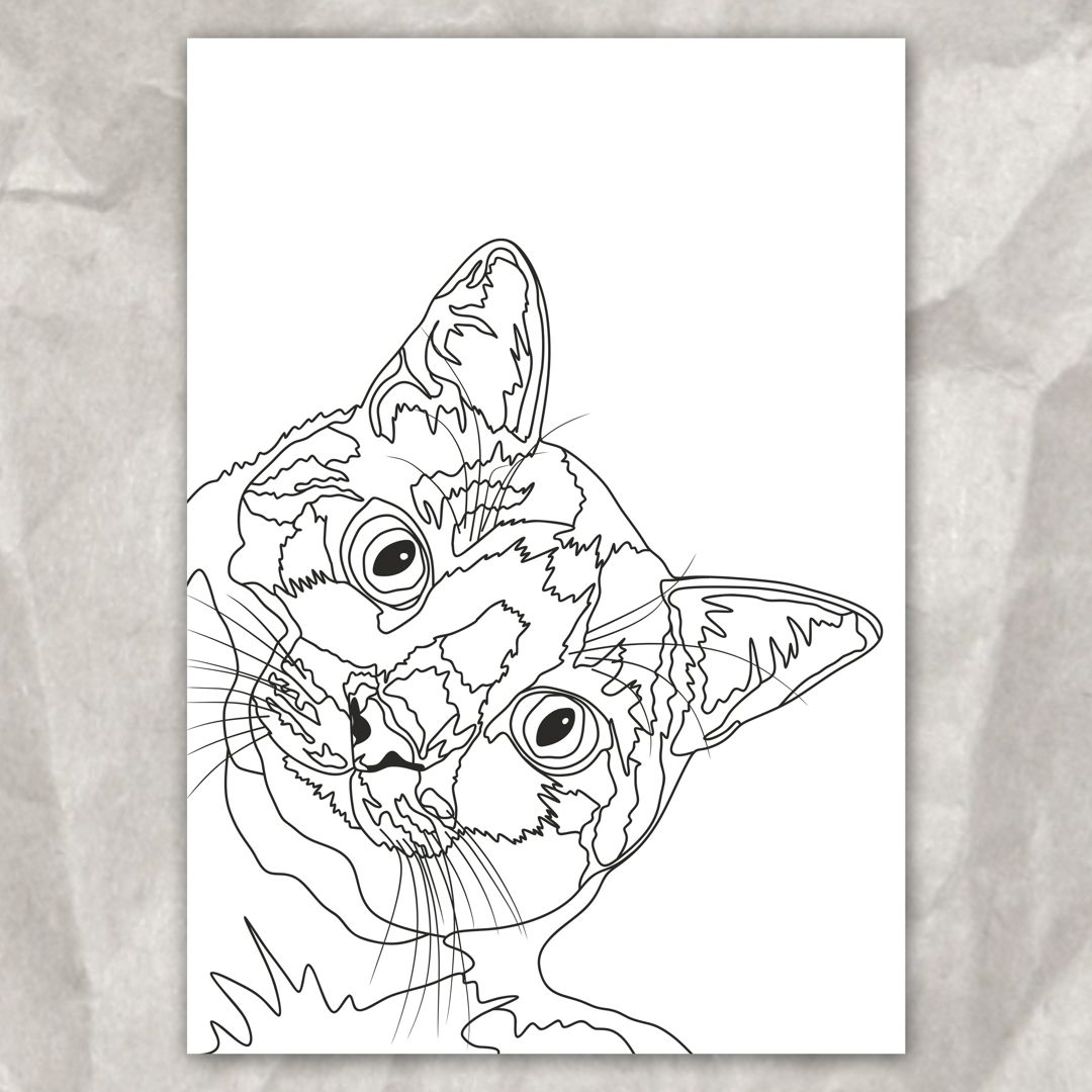 Раскраска Кошка, принт для печати, А4