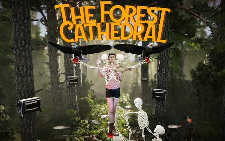 The Forest Cathedral