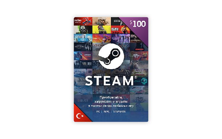 Карта оплаты Steam 100 USD Turkey [Цифровая версия]