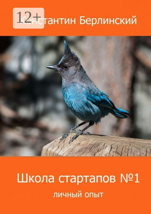 Школа стартапов №1: Личный опыт